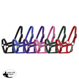 New! Nylon Halter. Pony Showman Halters