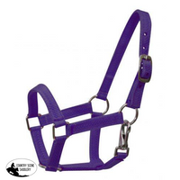 New! Nylon Halter. Mini / Purple Pony Showman Halters