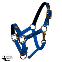 New! Nylon Halter. Pony / Blue Showman Halters