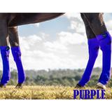 ORIGINAL EQUINE SEAMLESS COMPRESSION SOCK. - Country Scene Saddlery and Pet Supplies