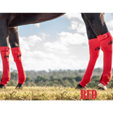 ORIGINAL EQUINE SEAMLESS COMPRESSION SOCK. - Country Scene Saddlery and Pet Supplies