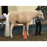 New! Palomino False Tails Posted From. Horse