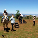 Poly Handi Step 120Kg - Country Scene Saddlery and Pet Supplies