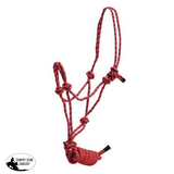 Pony Braided Knot Halter - Country Scene Saddlery and Pet Supplies