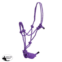 New! Pony Braided Knot Halter Posted.* / Purple