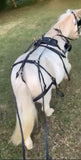 Small Pony Size Synthetic Harness - Country Scene Saddlery and Pet Supplies