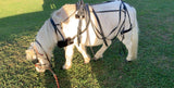 Small Pony Size Synthetic Harness - Country Scene Saddlery and Pet Supplies