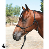 Professionals Choice Clinician Halter Equestrian