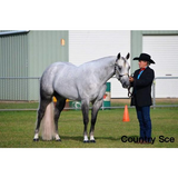 Pure White False Tail - Country Scene Saddlery and Pet Supplies