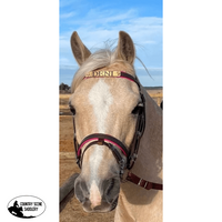 Pvc Bridle & Reins With Browband Engraving Stock Saddle Pads