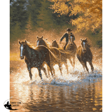 New! Queen Size Silk Touch Ultra Soft Blanket - Against the Wind - Country Scene Saddlery and Pet Supplies