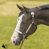 Raleigh Phoenix Show Halter with Lead - Country Scene Saddlery and Pet Supplies