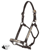 Raleigh Phoenix Show Halter with Lead - Country Scene Saddlery and Pet Supplies