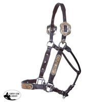 Raleigh Qh Show Halter Scallop Buckle Billy Royal Halters