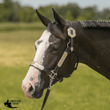 Raleigh QH Show Halter Scallop Buckle - Country Scene Saddlery and Pet Supplies