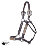 Raleigh QH Show Halter Scallop Buckle - Country Scene Saddlery and Pet Supplies