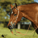 Raleigh Two Ear Headstall - Country Scene Saddlery and Pet Supplies