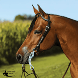 Raleigh Two Ear Headstall - Country Scene Saddlery and Pet Supplies