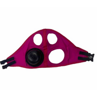 Recovery Eye Protective Mask Trot Harness