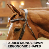 Schneiders® Ergonomic Flash English Bridle with Clear Crystal Browband - Country Scene Saddlery and Pet Supplies
