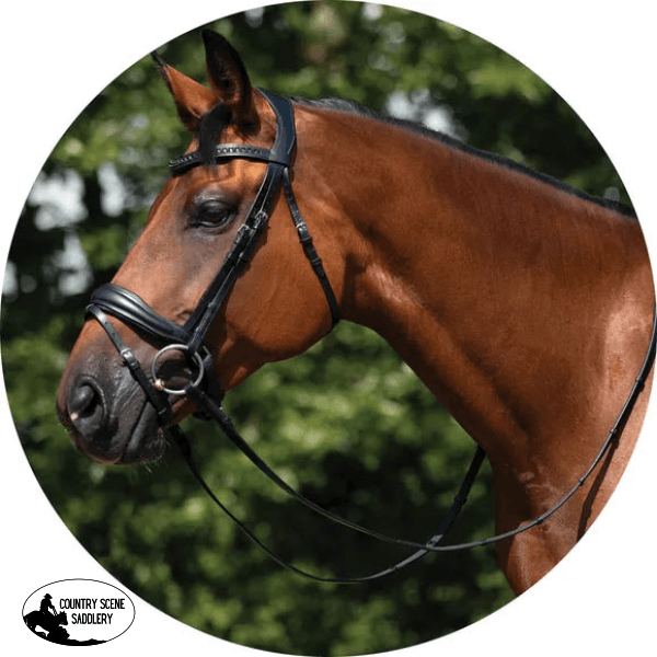 Schneiders® Ergonomic Monocrown Dressage Bridle With Crank Noseband Cob Hunter