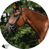 Schneiders® Ergonomic Monocrown Dressage Bridle with Crank Noseband - Country Scene Saddlery and Pet Supplies