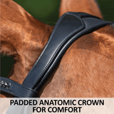 Schneiders® Ergonomic Monocrown Dressage Bridle with Crank Noseband - Country Scene Saddlery and Pet Supplies