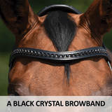 Schneiders® Ergonomic Monocrown Dressage Bridle With Crank Noseband Hunter