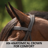 Schneiders® Flat Padded Hunter Bridle with Fancy Stitching - Country Scene Saddlery and Pet Supplies