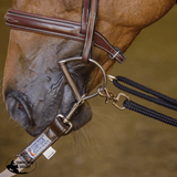 Schneiders® Lunging Aid - Country Scene Saddlery and Pet Supplies