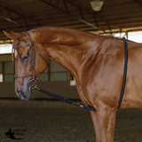 Schneiders® Lunging Aid - Country Scene Saddlery and Pet Supplies