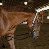 Schneiders® Lunging Aid - Country Scene Saddlery and Pet Supplies