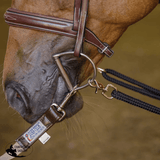 Schneiders® Lunging Aid - Country Scene Saddlery and Pet Supplies