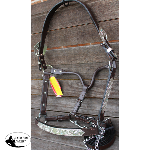 Showman Horse Size Double Stitched Leather Show Halter With Engraved Silver Plates Accented Aqua