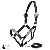 New! Showman Horse Size double stitched leather show halter with engraved silver plates accented with aqua rhinestones - Country Scene Saddlery and Pet Supplies