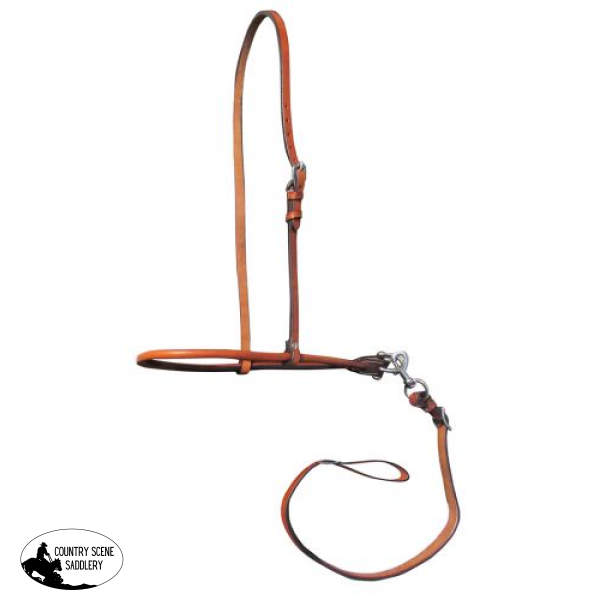 Showman ® Argentina Cow Leather Adjustable Smooth