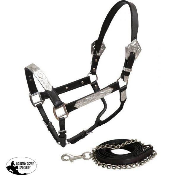 New! Showman ®  Average Horse Dark Leather Show Halter With Lead.