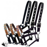 Showman ® Black Nylon halter with Argentina cow leather braided accent nose. - Country Scene Saddlery and Pet Supplies