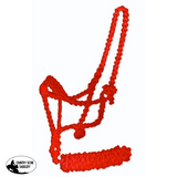 Showman ® Braided nylon mule tape halter. - Country Scene Saddlery and Pet Supplies