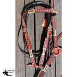 Showman ® Browband Rawhide Braided Headstall and Breast collar Set with Turquoise Studs. - Country Scene Saddlery and Pet Supplies