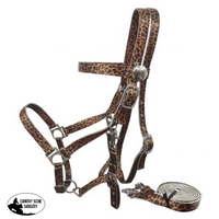 Showman ® Cheeta Nylon Premium Combination Halter Bridle With Reins. Headstall