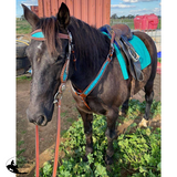 Showman ® Filigree Headstall and Breast Collar Set. - Country Scene Saddlery and Pet Supplies