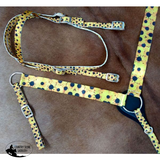 Showman ® HORSE SIZE Nylon Headstall & Breastcollar set - Country Scene Saddlery and Pet Supplies