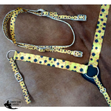 Showman ® Horse Size Nylon Headstall & Breastcollar Set