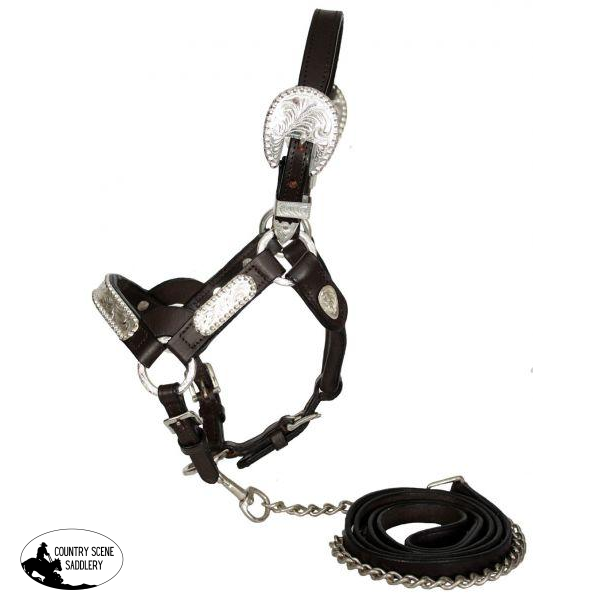 New! ~Showman ® Leather Mini Size Silver Show Halter.