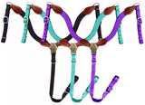 New! Showman ® Nylon Brow Band Headstall and Breast collar set with leather accents. - Country Scene Saddlery and Pet Supplies