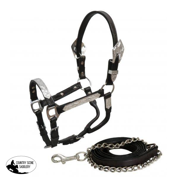New! Showman ® Pony Dark Leather Show Halter With Lead.
