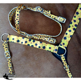 Showman ® PONY SIZE Nylon Headstall & Breastcollar set - Country Scene Saddlery and Pet Supplies