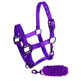 Showman ® Pony triple ply nylon halter and lead rope - Country Scene Saddlery and Pet Supplies