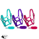 Showman ® Pony triple ply nylon halter and lead rope - Country Scene Saddlery and Pet Supplies